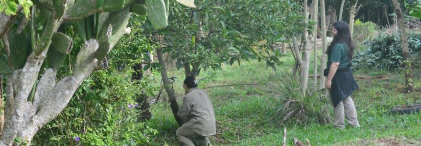 Visita a chacra agroecológica y manejo de árboles frutales