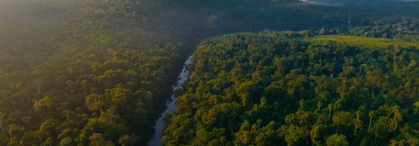 Situación de los bosques nativos, tema de la primera Mateada Ambiental en la Multiversidad