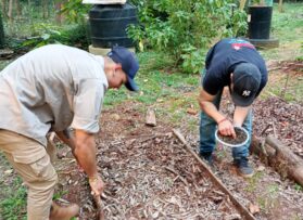 Se amplía el sector frutal y agroforestal de la Multiversidad en Roca