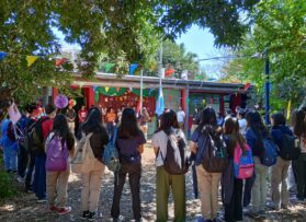 Semana de aprendizaje con clima festivo