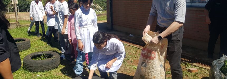 Cómo trasformar residuos en suelo fértil para la producción de alimentos