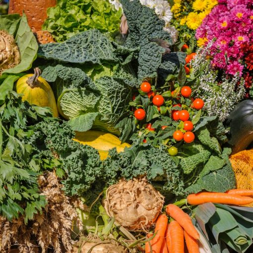 variety of vegetables